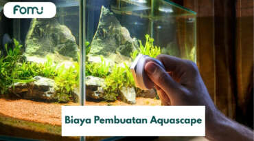 Biaya Pembuatan Aquascape, Pecinta Hewan Air Baca!
