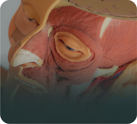 3D Print untuk Industri Medis